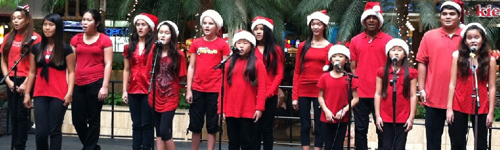 VoiceLessonsWindwardMall